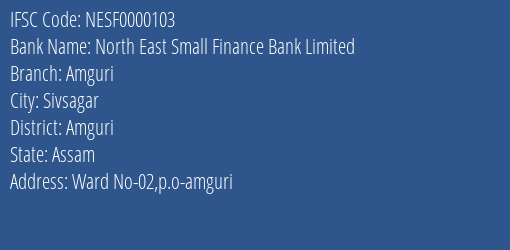 North East Small Finance Bank Amguri Branch Amguri IFSC Code NESF0000103