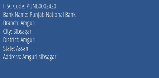 Punjab National Bank Amguri Branch Amguri IFSC Code PUNB0002420