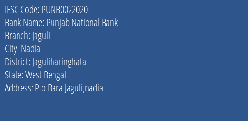 Punjab National Bank Jaguli Branch Jaguliharinghata IFSC Code PUNB0022020