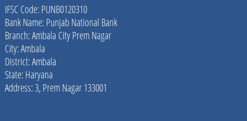 Punjab National Bank Ambala City Prem Nagar Branch Ambala IFSC Code PUNB0120310