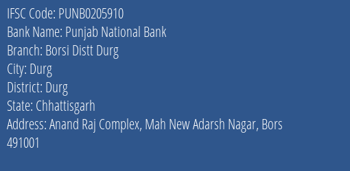 Punjab National Bank Borsi Distt Durg Branch Durg IFSC Code PUNB0205910