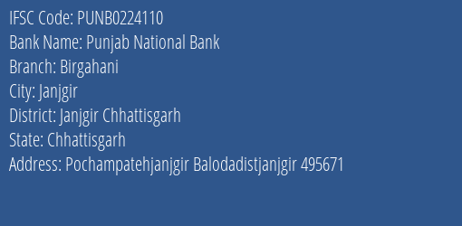 Punjab National Bank Birgahani Branch Janjgir Chhattisgarh IFSC Code PUNB0224110